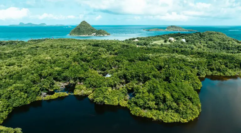 biodiversity 1751045340