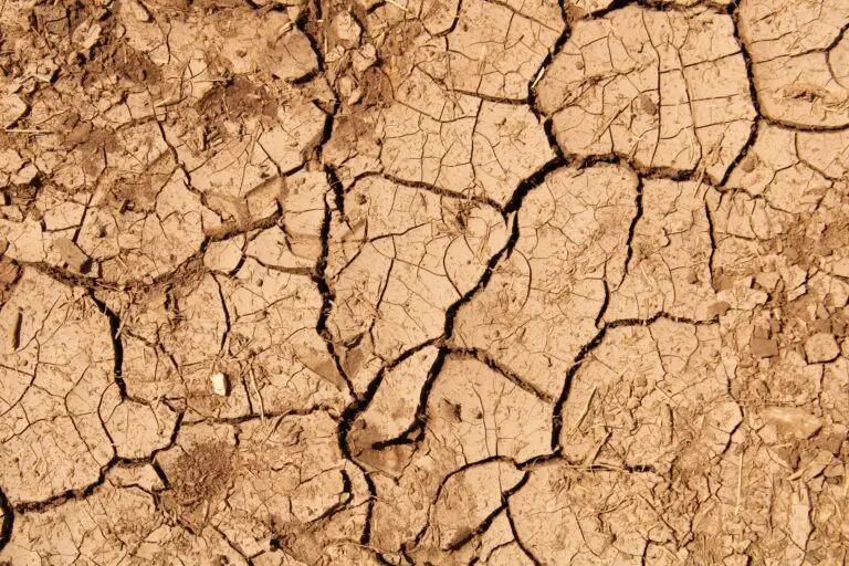 desertification 1751046321