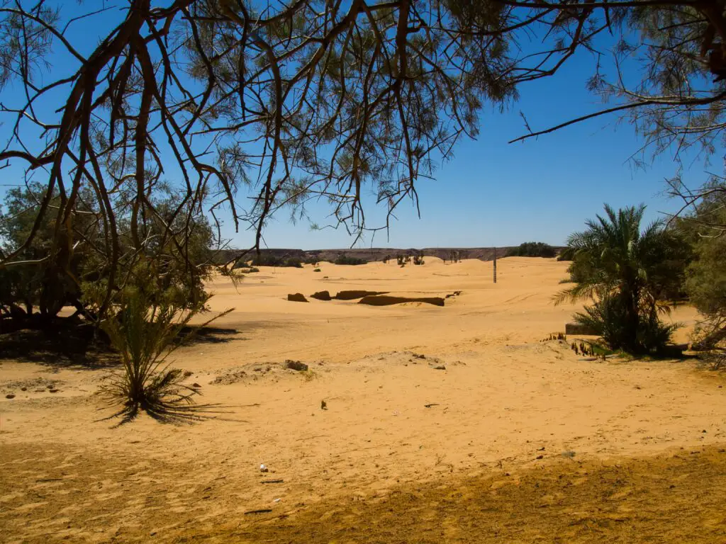desertification 1751046763
