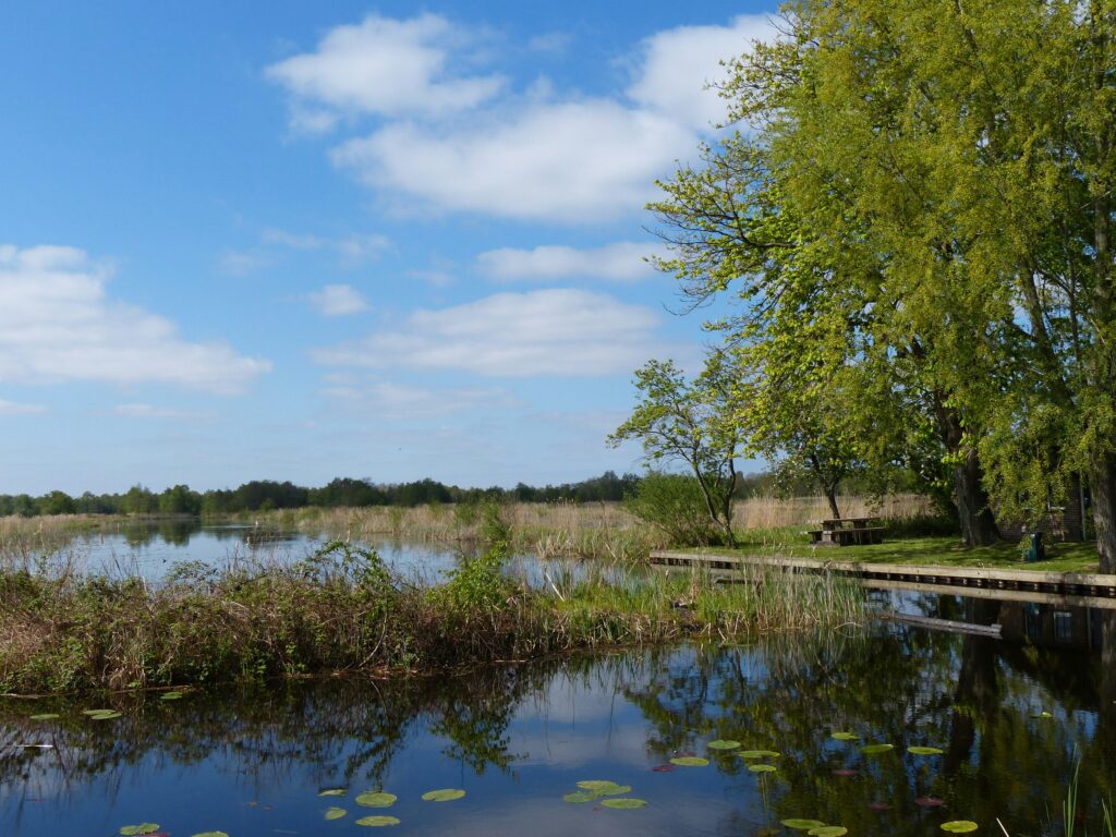 Distribution of Wetlands and Their Species 1 wetlands 1751050225
