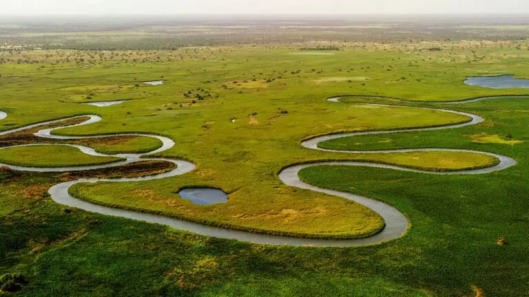 wetlands 1751050636