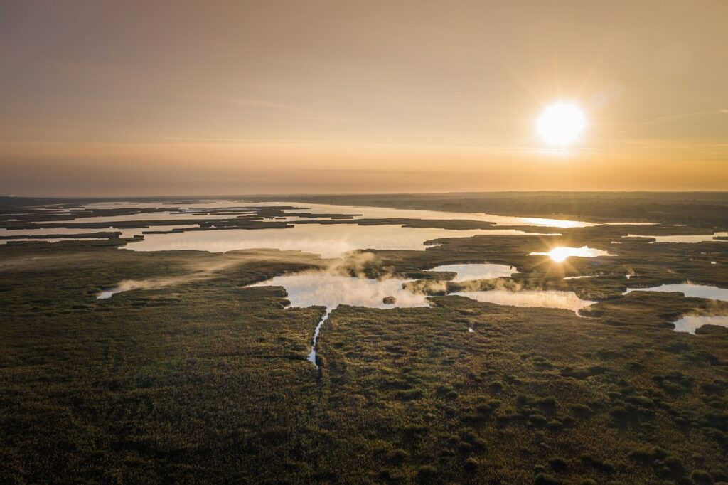 Impact Of Wetland Changes On Human Well-being 2 wetlands 1751050658
