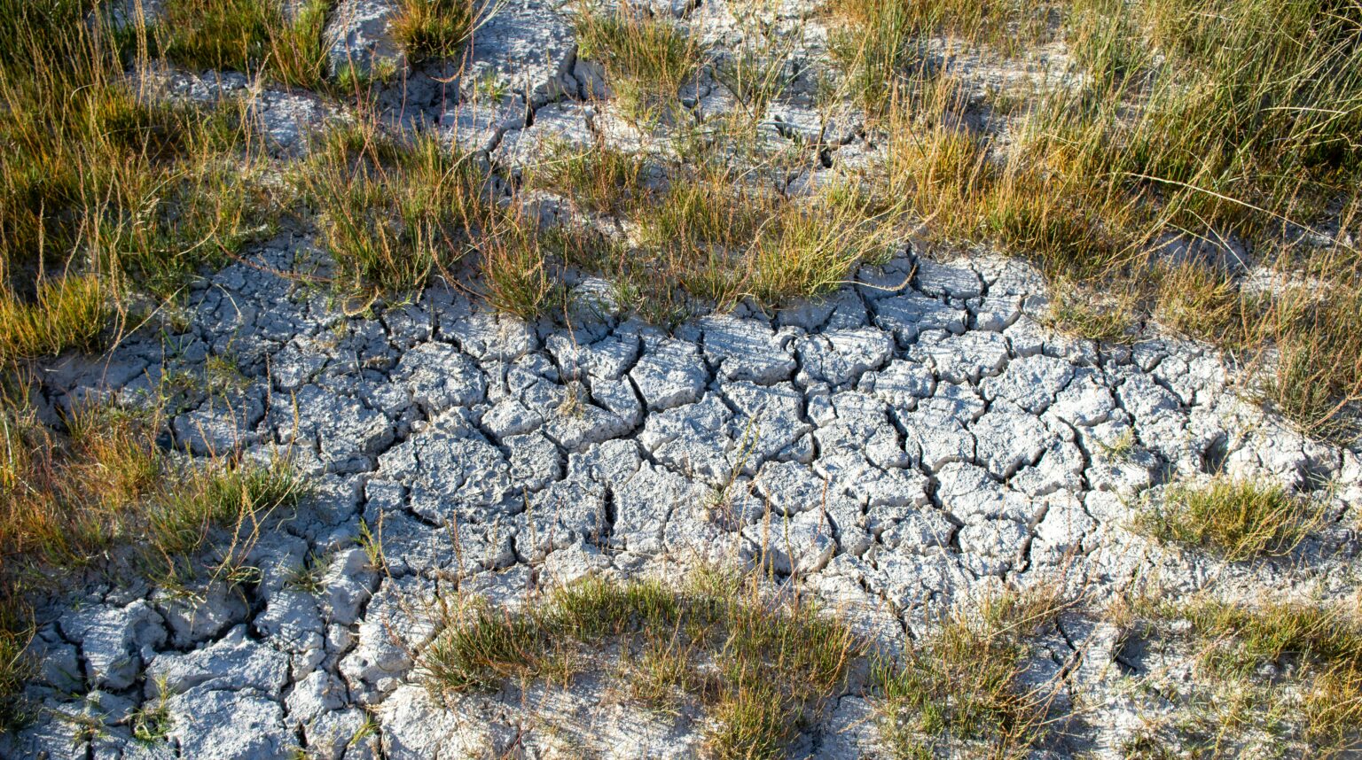 A Greenhouse Gas Crossword Puzzle Fun MAWEB A Greenhouse Gas Crossword Puzzle Fun MAWEB