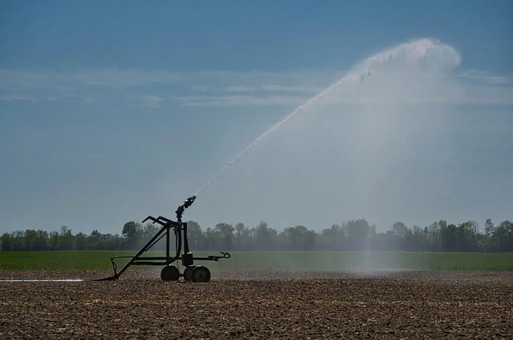 irrigation 1752853088
